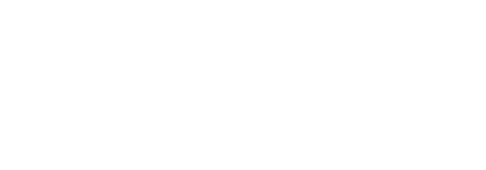 Seedance AI Video Generation & Motion Synthesis - LORD Studio
